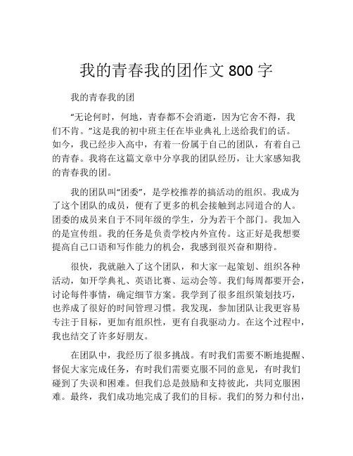 我的青春我的团作文800字