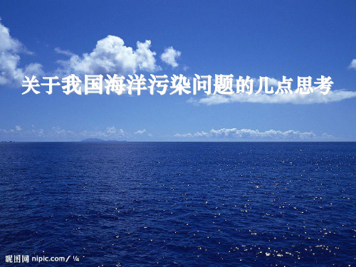 关于我国海洋污染问题的几点思考