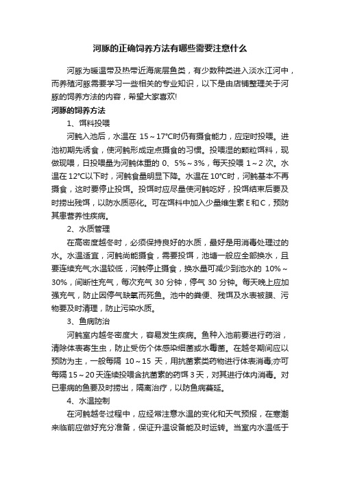 河豚的正确饲养方法有哪些需要注意什么