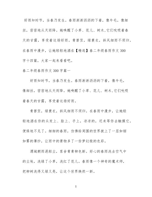 【精选】春二年级春雨作文300字十四篇