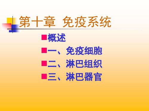 免疫系统组织学sdl