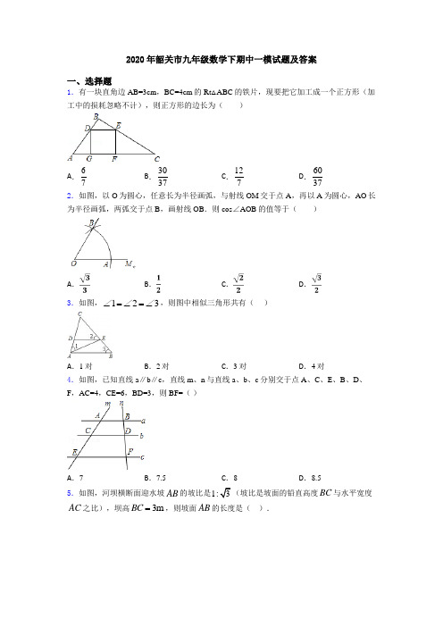 2020年韶关市九年级数学下期中一模试题及答案