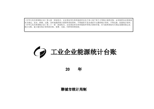 工业企业能源统计台账(老版)