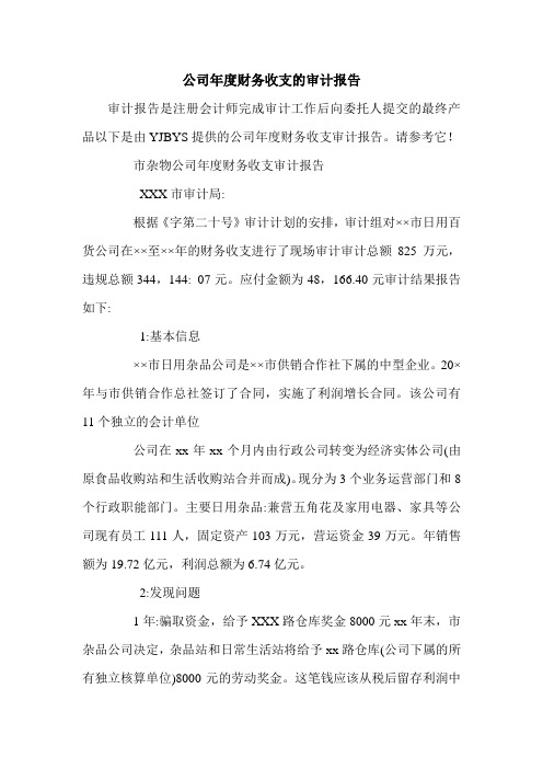 公司年度财务收支的审计报告.doc