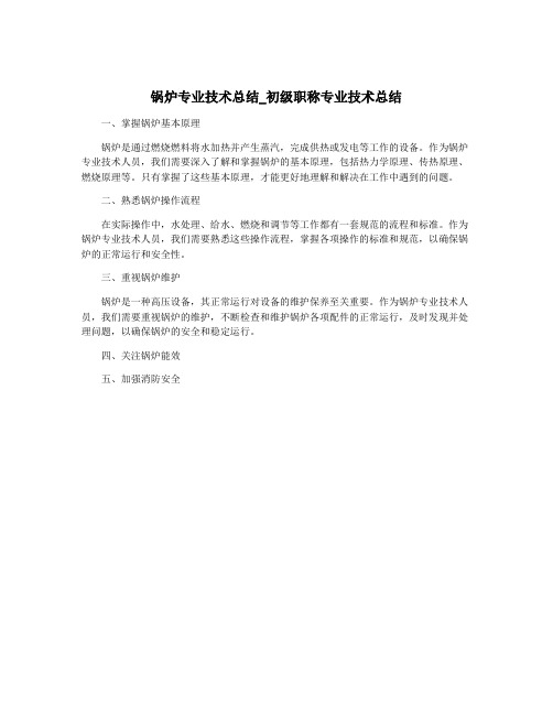 锅炉专业技术总结_初级职称专业技术总结