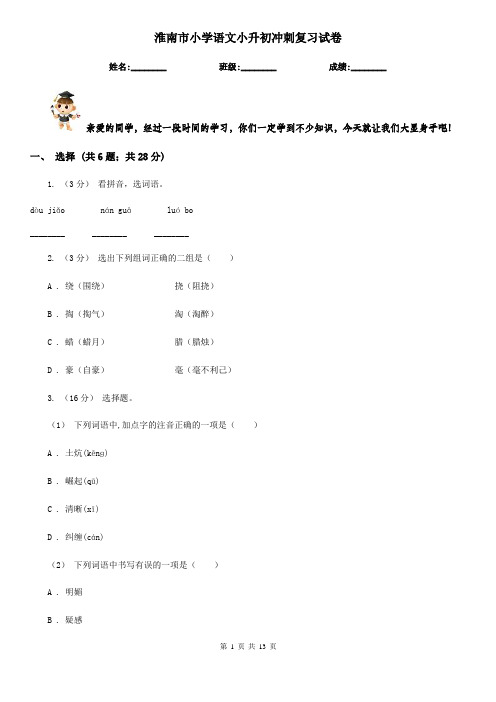 淮南市小学语文小升初冲刺复习试卷