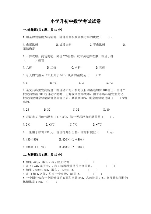 小学升初中数学考试试卷含完整答案(历年真题)