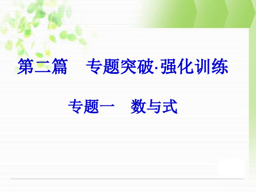 浙江新中考总复习第二篇专题突破(专题1数与式)