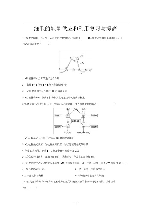 人教新课标高中生物必修一第5章细胞的能量供应和利用复习与提高基础练习