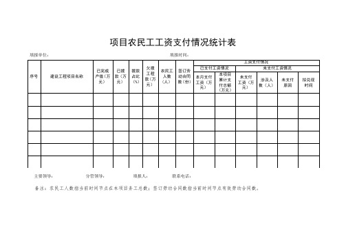 项目农民工工资支付情况统计表