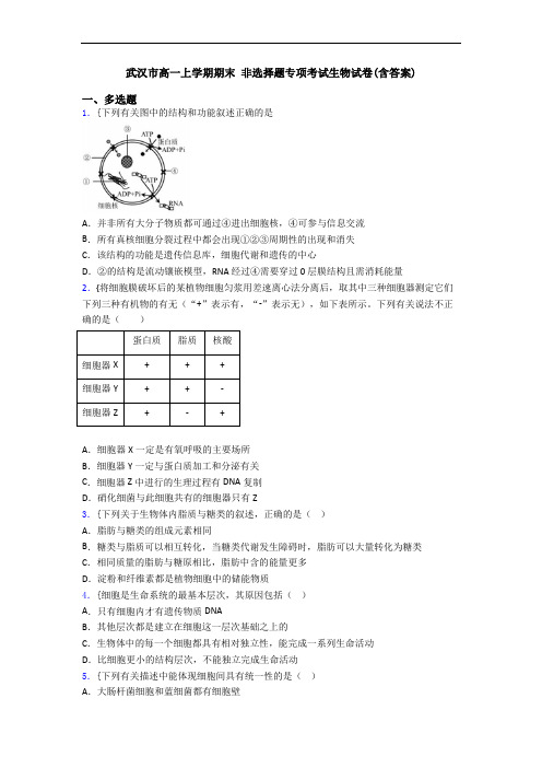 武汉市高一上学期期末 非选择题专项考试生物试卷(含答案)