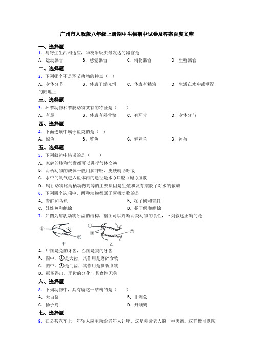 广州市人教版八年级上册期中生物期中试卷及答案百度文库