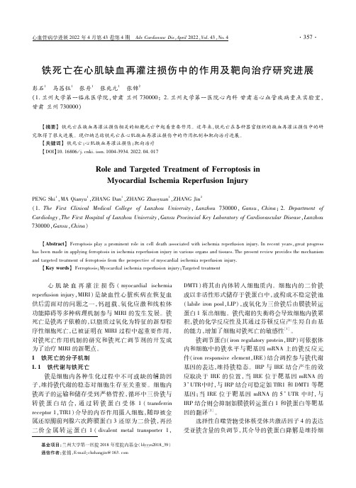 铁死亡在心肌缺血再灌注损伤中的作用及靶向治疗研究进展