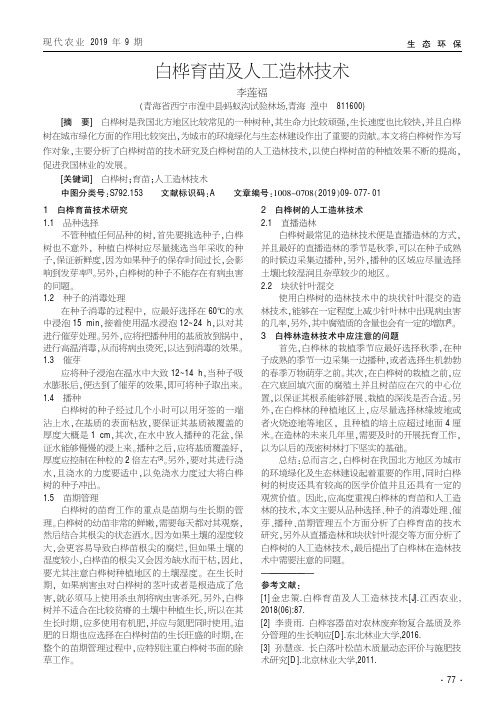 白桦育苗及人工造林技术