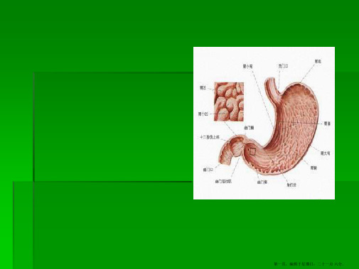 中医内科学课程案例第三章6.胃痛