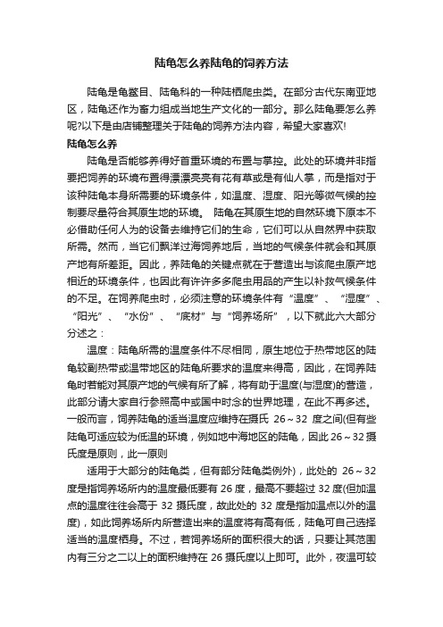 陆龟怎么养陆龟的饲养方法