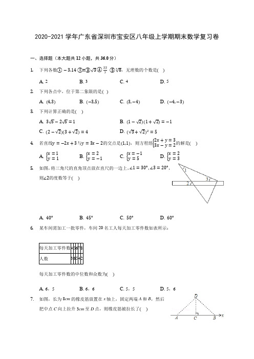 2020-2021学年广东省深圳市宝安区八年级上学期期末数学复习卷 (含答案解析)