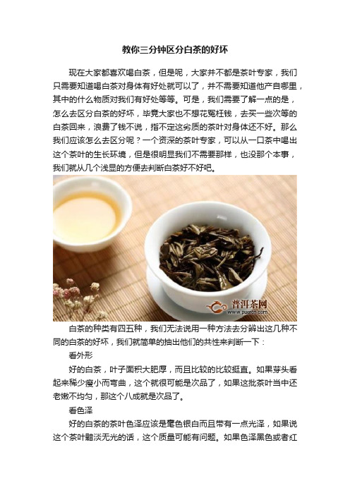 教你三分钟区分白茶的好坏