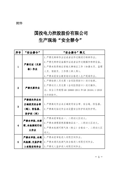 国投电力控股股份有限公司生产现场“安全禁令”