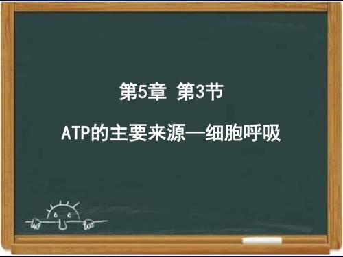 人教版高中生物必修一《ATP的主要来源——细胞呼吸》课件