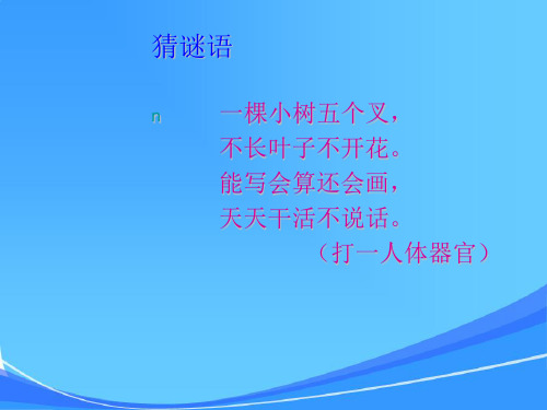 新人教版小学五年级数学植树问题课件l例