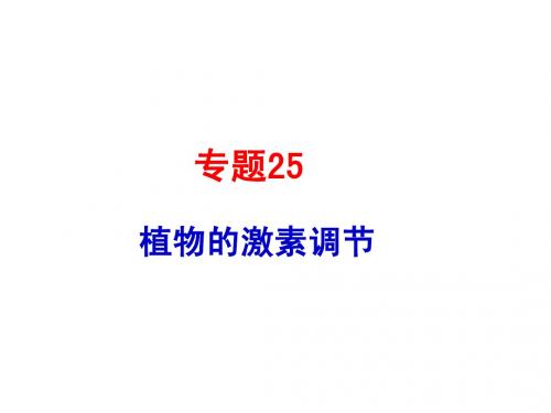 5年全国各地高考题分类汇编课件专题25植物的激素调节