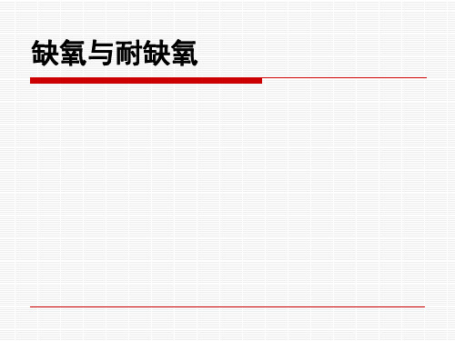 机能实验学 5 缺氧与耐缺氧