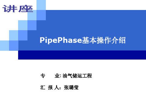 PIPEPHASE基本操作