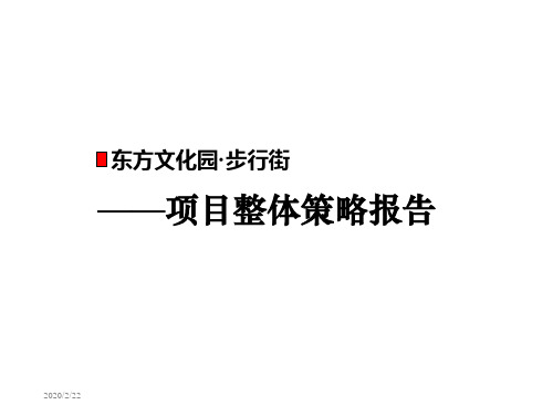 杭州东方文化园·步行街项目整体策略报告