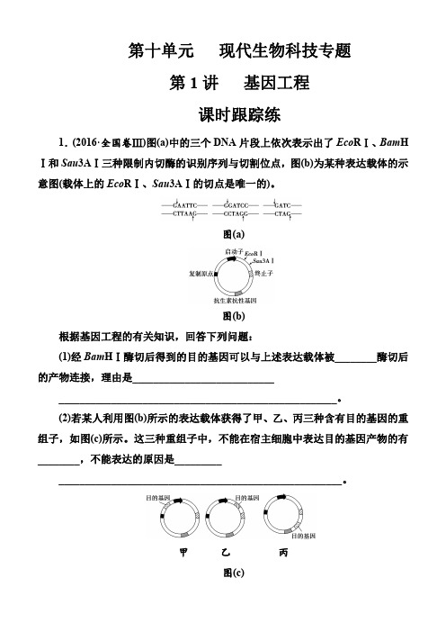 2019版高考总复习生物练习：第十单元第1讲课时跟踪练