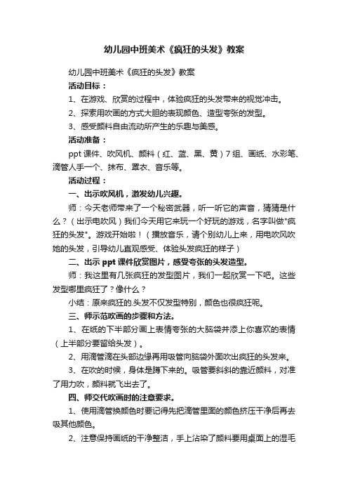 幼儿园中班美术《疯狂的头发》教案