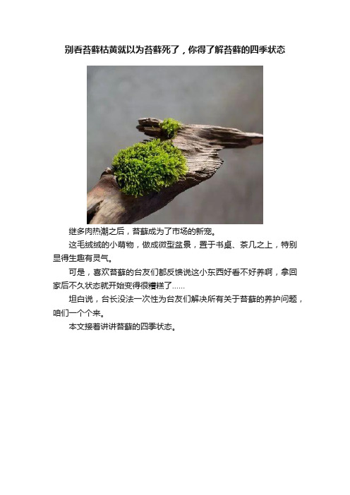 别看苔藓枯黄就以为苔藓死了，你得了解苔藓的四季状态