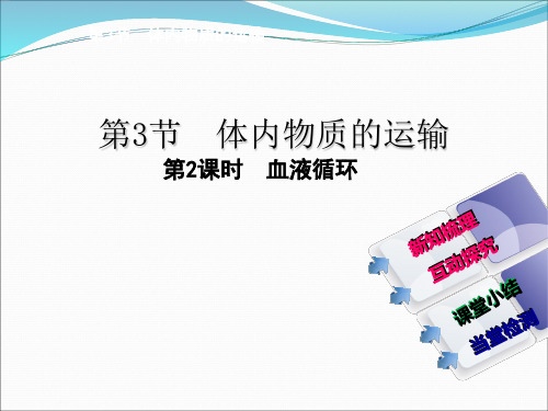 浙教版科学九上4.3体内物质的运输血液循环复习课件
