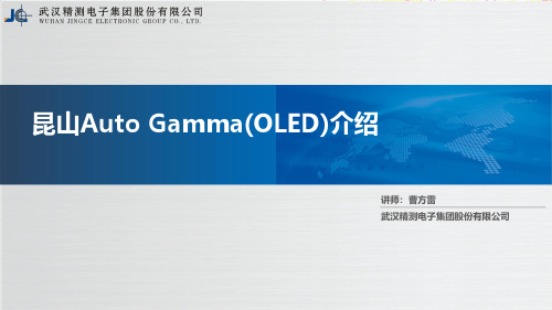 武汉精测电子集团股份有限公司昆山Auto Gamma(OLED)说明书