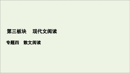 新高考语文考点4  探究文本意蕴与情感体验  课件