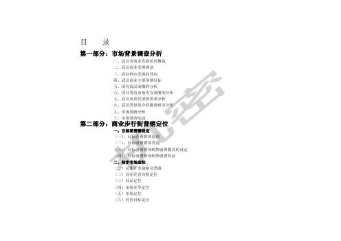 武汉光谷世界城商业步行街项目分析定位招商全程报告