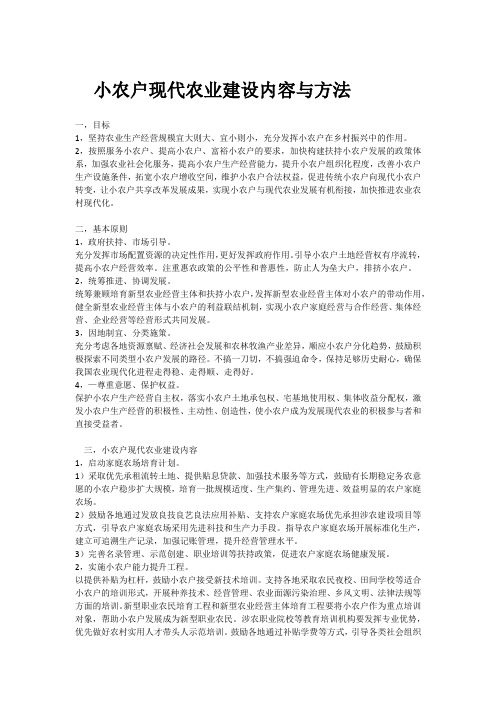 小农户现代农业建设内容与方法