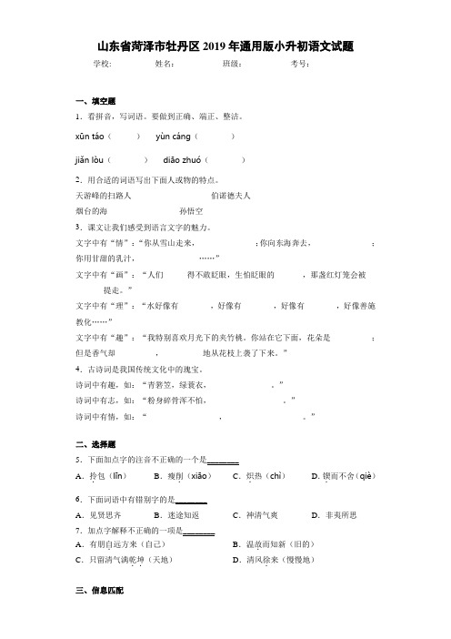 山东省菏泽市牡丹区2019年通用版小升初语文试题(答案解析)