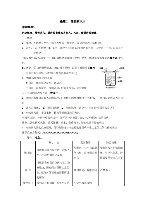 人教版(五四)八下《燃烧和灭火》PPT课件2