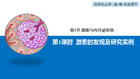 3.1.1激素的发现及研究实例课件高二上学期生物人教版选择性必修1