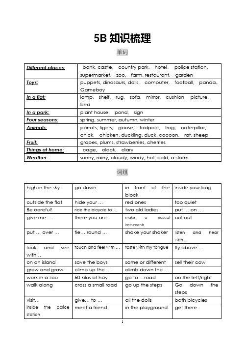 沪教版小学牛津英语5b英语知识点梳理(含听力材料)