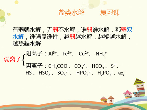 双水解-获奖版PPT课件