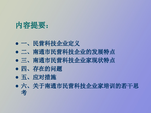 民营科技企业家