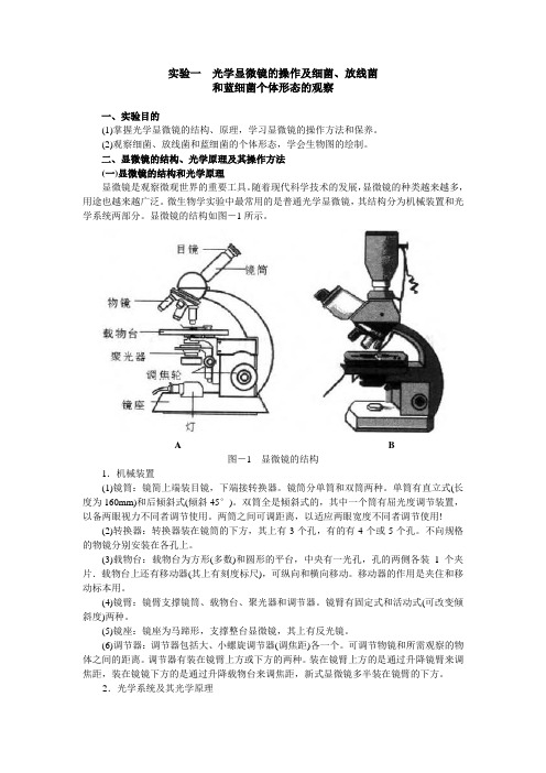 微生物实验