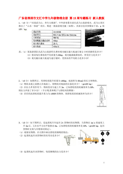 广东省深圳市文汇中学九年级物理全册 第15周专题练习(