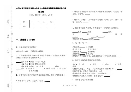 小学试题三年级下学期小学语文全能强化训练期末模拟试卷C卷练习题