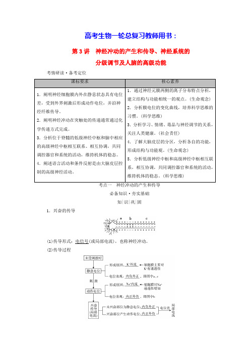 2025版高考生物一轮总复习教师用书选择性必修1考点一神经冲动的产生和传导(含答案)