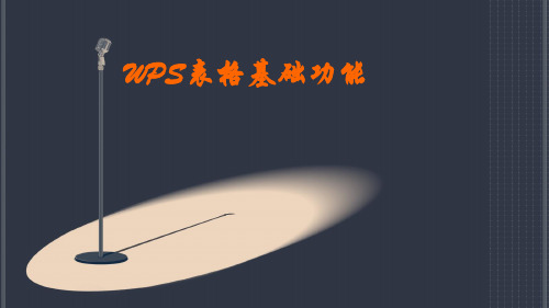 WPS表格基础功能