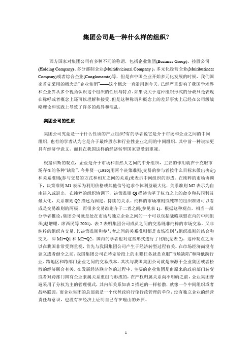 集团公司是一种什么样的组织