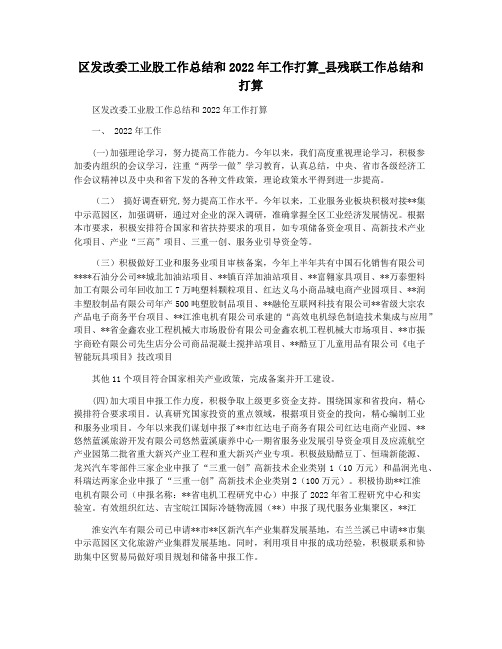 区发改委工业股工作总结和2022年工作打算_县残联工作总结和打算